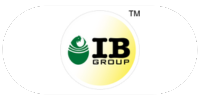 IB Group